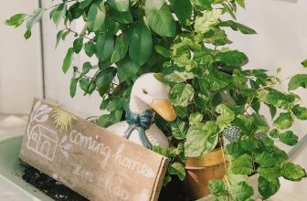 [☕️🇻🇳] Coming Home – Coffee – Tea 🥤 Top1Coffee ☕️ Coming Home xin chúc cả nhà đầu tuần thật vui và hạnh phúc nhé  Coming Home Coffee & Tea
__________________________________ , shares-1✔️ , likes-14❤️️ , date-2020-11-30 04:43:49🇻🇳🇻🇳🇻🇳📰🆕