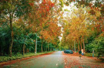 [☕️🇻🇳] NOC Coffee – Cafe bóng đá, cho thuê địa điểm offine, sinh nhật, sự kiện 🥤 Top1Coffee ☕️ Những con đường lá vàng, lá đỏ thơ mộng đâu chỉ có ở nước ngoài.

Cách Hà Nội hơn 10 km, tại Ecopark có những con đường la , shares-0✔️ , likes-1❤️️ , date-2020-11-28 08:43:47🇻🇳🇻🇳🇻🇳📰🆕