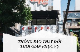 [☕️🇻🇳] The Cuppa Coffee 🥤 Top1Coffee ☕️ THÔNG BÁO THAY ĐỔI THỜI GIAN PHỤC VỤ TỪ NGÀY 9/12/2020
Để có nhiều thời gian phục vụ hơn cho khách hàng khi ghé Cuppa vào nh , shares-0✔️ , likes-36❤️️ , date-2020-12-09 05:36:02🇻🇳🇻🇳🇻🇳📰🆕