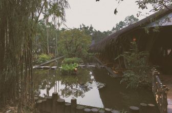 [☕️🇻🇳] CoCo’s Coffee 🥤 Top1Coffee ☕️ Hạnh phúc không có nghĩa là mọi thứ phải hoàn hảo. Mà nó có nghĩa là bạn quyết định nhìn thấu sự không hoàn hảo. 
Như sáng nay b , shares-0✔️ , likes-17❤️️ , date-2020-12-14 03:09:24🇻🇳🇻🇳🇻🇳📰🆕