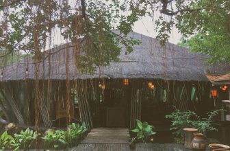 [☕️🇻🇳] CoCo’s Coffee 🥤 Top1Coffee ☕️ “Mỗi một người sinh ra đều không có quyền lựa chọn mình là ai, không có quyền lựa chọn “giới tính” của mình như thể nào. Như , shares-0✔️ , likes-13❤️️ , date-2020-12-17 03:17:03🇻🇳🇻🇳🇻🇳📰🆕