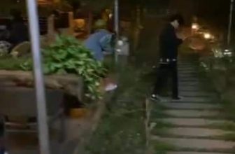 [☕️🇻🇳] Garden Coffee – Tea Thanh Sơn 🥤 Top1Coffee ☕️ Củi lửa nhà hà anh tuấn
, shares-0✔️ , likes-19❤️️ , date-2021-01-01 14:22:18🇻🇳🇻🇳🇻🇳📰🆕