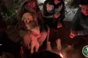 [☕️🇻🇳] Garden Coffee – Tea Thanh Sơn 🥤 Top1Coffee ☕️ Đập tan cái lạnh
Khi ở cạnh Garden Ae thích ấm áp, đàn ca , nước ngon cảnh đẹp thì đến vs Garden nhé
, shares-0✔️ , likes-50❤️️ , date-2021-01-08 03:47:34🇻🇳🇻🇳🇻🇳📰🆕