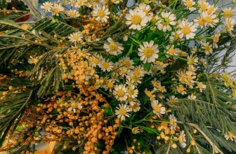 [☕️🇻🇳]1986 Tea-Coffee 🥤 Top1Coffee ☕️ Tổng kết 1 đêm êm đềm với cả nhà chúng ta đêm qua. Cảm ơn mọi người đã ghé đến chia sẻ khoảnh khắc qua năm mới mặc dù chúng ta c , shares-6✔️ , likes-26❤️️ , date-2021-01-01 04:30:12🇻🇳🇻🇳🇻🇳📰🆕