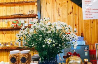 [☕️🇻🇳] 15.22 café – wine – live music 🥤 Top1Coffee ☕️ GÓC TUYỂN DỤNG
Wood Coffee & Juice cần tuyển:
– PHA CHẾ
02 nữ ca chiều 8tiếng hoặc 5 tiếng ( có thể thương lượng)
– PHỤC VỤ:
, shares-12✔️ , likes-14❤️️ , date-2021-01-11 04:17:07🇻🇳🇻🇳🇻🇳📰🆕