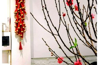 [☕️🇻🇳]  Loi’s Specialty Coffee – Purity🥤 Top1Coffee ☕️ Cành đào nhỏ
Tràng pháo đỏ
Nép mình đón xuânGió mùa lại về, tết cận kề, ngoài kia là sự hối hả của người người chuẩn bị đón tế , shares-0✔️ , likes-18❤️️ , date-2021-01-28 01:56:40🇻🇳🇻🇳🇻🇳📰🆕