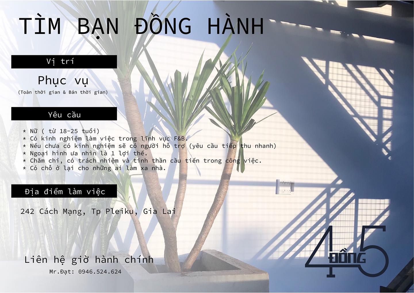 [☕️🇻🇳] 4 ĐỒNG 5 🥤 Top1Coffee ☕️ Heloooo
…
Hiện tại 4 Đồng 5 đang phát triển và hướng đến sự lâu dài. Chúng mình đang cần bổ sung đồng đội để hoàn thiện đội hì , shares-6✔️ , likes-26❤️️ , date-2021-01-31 15:03:30🇻🇳🇻🇳🇻🇳📰🆕