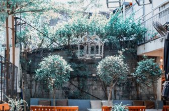 [☕️🇻🇳] Ochata Coffee  🥤 Top1Coffee ☕️ – Hồi trong năm Chanchamayo có sửa chữa khu vườn mặt tiền quán để Tết này mọi người có một khu vườn “siêu to khổng lồ”, tha hồ c , shares-0✔️ , likes-13❤️️ , date-2021-02-05 02:15:00🇻🇳🇻🇳🇻🇳📰🆕