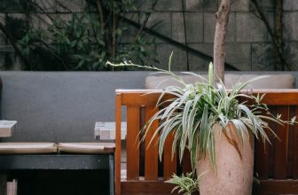 [☕️🇻🇳] Ochata Coffee  🥤 Top1Coffee ☕️ – Một sáng mát trời, khách thẩn tha thẩn thơ dạo vườn Chanchamayo.
Gần Tết rồi, thời tiết chiều lòng người. <3
@Chanchamayo , shares-0✔️ , likes-6❤️️ , date-2021-02-06 02:15:00🇻🇳🇻🇳🇻🇳📰🆕