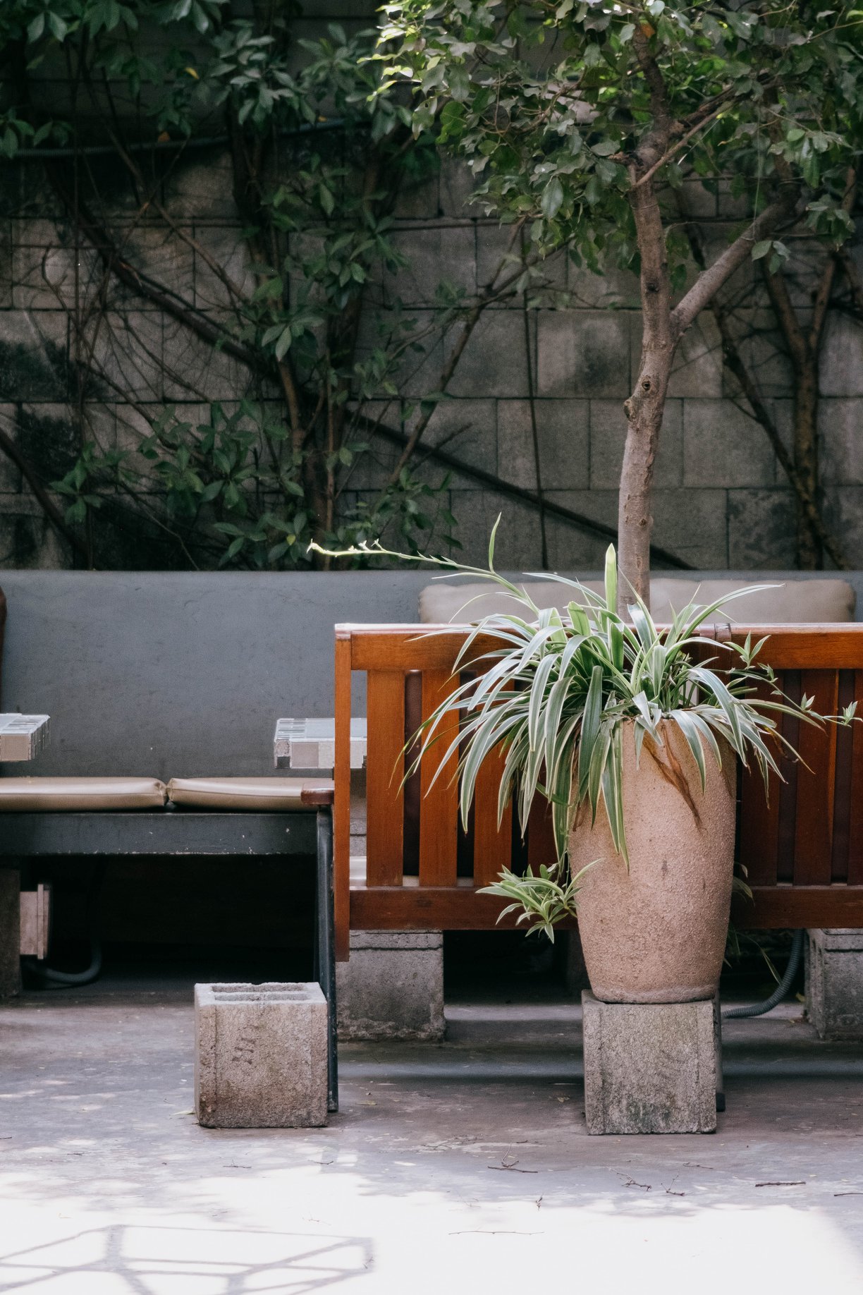 [☕️🇻🇳] Ochata Coffee  🥤 Top1Coffee ☕️ – Một sáng mát trời, khách thẩn tha thẩn thơ dạo vườn Chanchamayo.
 Gần Tết rồi, thời tiết chiều lòng người. <3
 @Chanchamayo , shares-0✔️ , likes-6❤️️ , date-2021-02-06 02:15:00🇻🇳🇻🇳🇻🇳📰🆕