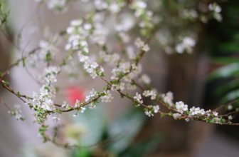 [☕️🇻🇳] 15.22 café – wine – live music 🥤 Top1Coffee ☕️  , shares-0✔️ , likes-39❤️️ , date-2021-02-02 04:18:01🇻🇳🇻🇳🇻🇳📰🆕