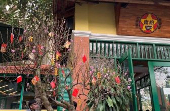 [☕️🇻🇳] Bắc Việt Coffee 🥤 Top1Coffee ☕️ Vị Tết ở Bắc Việt Coffee!!!
, shares-0✔️ , likes-48❤️️ , date-2021-02-12 02:29:32🇻🇳🇻🇳🇻🇳📰🆕