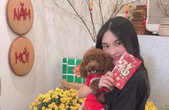 [☕️🇻🇳] A Room Café – Quán cà phê 🥤 Top1Coffee ☕️ Có mai có quất có đào
Có thêm em nữa ngọt ngào cả năm
——————————————————
Số 5,Lô 18 Thế Lữ, Hồng Bàng, Hải Phòng
#aroomcafe  , shares-0✔️ , likes-12❤️️ , date-2021-02-08 01:23:28🇻🇳🇻🇳🇻🇳📰🆕