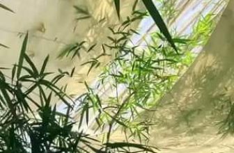 [☕️🇻🇳] 15.22 café – wine – live music 🥤 Top1Coffee ☕️  , shares-0✔️ , likes-38❤️️ , date-2021-02-22 08:20:29🇻🇳🇻🇳🇻🇳📰🆕