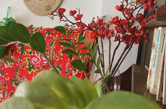 [☕️🇻🇳] 1976 Cà phê   🥤 Top1Coffee ☕️ Tốt hơn 1% mỗi ngày, liệu bạn có làm được không?
__________________
𝟭𝟵𝟳𝟲 𝗖𝗮̀ 𝗣𝗵𝗲̂
23 Nguyễn Thị Minh Khai, Tp.Huế
12 Hải Tri , shares-0✔️ , likes-4❤️️ , date-2021-03-01 02:05:13🇻🇳🇻🇳🇻🇳📰🆕