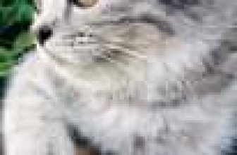 [☕️🇻🇳] Nocenco Coffee 🥤 Top1Coffee ☕️ Vị khách đặc biệt dễ thương
Thích uống sữa nóng và thưởng thức nhạc jazz!!
—————— Nocenco Coffee
Tầng7-8. Số 23 Quang Trung, , shares-1✔️ , likes-38❤️️ , date-2021-02-27 05:23:33🇻🇳🇻🇳🇻🇳📰🆕