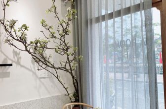 [☕️🇻🇳] A Room Café – Quán cà phê 🥤 Top1Coffee ☕️ Tết thì có mai có đào
8/3 này mình có gì nhỉ
Hoa lê tượng trưng cho sự tinh khôi, trong trẻo, bình yên ấm áp trong cuộc sống.  , shares-0✔️ , likes-16❤️️ , date-2021-03-08 03:21:36🇻🇳🇻🇳🇻🇳📰🆕