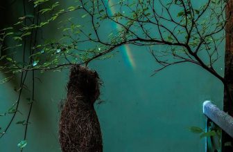 [☕️🇻🇳] 15.22 café – wine – live music 🥤 Top1Coffee ☕️ 𝐌𝐢̀𝐧𝐡 𝐭𝐡𝐢́𝐜𝐡 𝐥𝐚̆́𝐦 𝐦𝐨̂̃𝐢 𝐬𝐚́𝐧𝐠 𝐧𝐠𝐚̆́𝐦 𝐜𝐚̂̀𝐮 𝐯𝐨̂̀𝐧𝐠 𝐨̛̉ 𝐇𝐨𝐚 𝐘𝐞̂𝐧 𝘖̛̉ 𝘨𝘪𝘶̛̃𝘢 𝘯𝘩𝘶̛̃𝘯𝘨 𝘬𝘩𝘰̂́𝘪 𝘤𝘩𝘢̂́𝘵 𝘤𝘩𝘰̂̀𝘯𝘨 𝘤𝘶̉𝘢 𝘷𝘢̣̂𝘵 𝘤𝘩𝘢̂́𝘵, 𝘵𝘢 𝘤 , shares-1✔️ , likes-31❤️️ , date-2021-03-15 05:38:32🇻🇳🇻🇳🇻🇳📰🆕