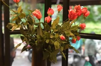 [☕️🇻🇳] Tungbook Coffee Hà Nội 🥤 Top1Coffee ☕️ Chill…
, shares-0✔️ , likes-2❤️️ , date-2021-03-19 02:30:46🇻🇳🇻🇳🇻🇳📰🆕