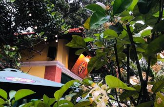 [☕️🇻🇳] Bắc Việt Coffee 🥤 Top1Coffee ☕️ “ MÙA HOA BƯỞI THÁNG BA THƠM NGÁT BẮC VIỆT “
Trong cái nắng hiu hắt nhè nhẹ của mùa xuân, giữa những ồn ã của phố phường, Bắc V , shares-1✔️ , likes-33❤️️ , date-2021-03-17 10:43:23🇻🇳🇻🇳🇻🇳📰🆕