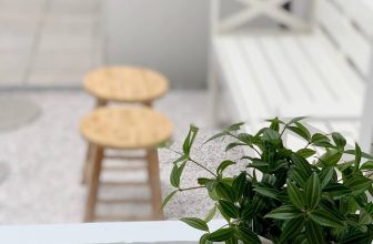 [☕️🇻🇳]  Loi’s Specialty Coffee – Purity🥤 Top1Coffee ☕️ Tuần này, thấy nói nắng sẽ lên đẹp lắm.Bàng bắt đầu mùa ra lá mới xanh mát mắt. Có người chị ví von: “Xanh như là thương nhau  , shares-0✔️ , likes-17❤️️ , date-2021-03-29 09:39:23🇻🇳🇻🇳🇻🇳📰🆕