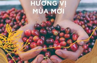 [☕️🇻🇳]  Loi’s Specialty Coffee – Purity🥤 Top1Coffee ☕️ “HÀNH TRÌNH VỤ MÙA MỚI” – Workshop Soul’s New Crop– Loi’s Specialty Coffee x Soul Specialty Coffee– Lòng nhiệt thà , shares-5✔️ , likes-6❤️️ , date-2021-04-04 06:41:19🇻🇳🇻🇳🇻🇳📰🆕