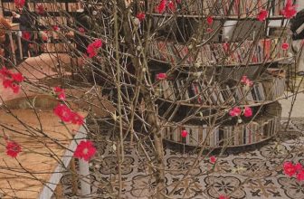 [☕️🇻🇳] Tungbook Coffee Hà Nội 🥤 Top1Coffee ☕️ Tết đến xuân về …Tết lại đến như tết từng đã đến
Chuỗi toan lo chộn rộn tháng ngày
Âu tết về có chiếu nghỉ mà hay
Mưa gột bụi  , shares-3✔️ , likes-198❤️️ , date-2022-02-03 13:00:50🇻🇳🇻🇳🇻🇳📰🆕