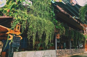 [☕️🇻🇳] 15.22 café – wine – live music 🥤 Top1Coffee ☕️  KHUYẾN MÃI,GIẢM GIÁ 15%
Từ 12h30’ – 22h30’
GIẢM THÊM 5% cho khách chia sẽ bài hoặc checkin tại quán!Wood Coffee đã tr , shares-24✔️ , likes-141❤️️ , date-2020-10-21 15:16:03🇻🇳🇻🇳🇻🇳📰🆕