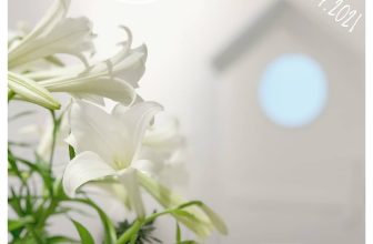 [☕️🇻🇳]  Loi’s Specialty Coffee – Purity🥤 Top1Coffee ☕️ Loi’s tiếp tục ngày ngọt ngào thứ hai dành cho bạn.Lần này, mời bạn ghé thăm LOI’S P để khám phá bánh trôi và cafe kết hợp vớ , shares-4✔️ , likes-24❤️️ , date-2021-04-13 09:02:13🇻🇳🇻🇳🇻🇳📰🆕