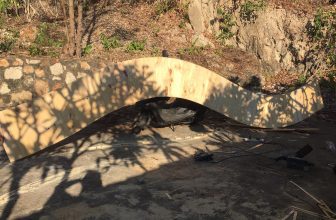 [☕️🇻🇳] LLightroom Coffee 🥤 Top1Coffee ☕️ Làm cái bàn này 1 mình đuối quá , có bạn nào thích DYI hok lên núi phụ ad đy . Ad hậu tạ
, shares-0✔️ , likes-30❤️️ , date-2017-04-26 09:31:22🇻🇳🇻🇳🇻🇳📰🆕