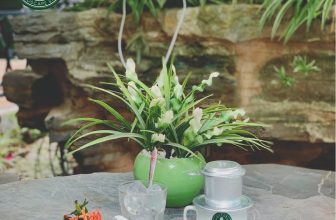 [☕️🇻🇳] Green Coffee Hà Nam 🥤 Top1Coffee ☕️ Cảm ơn đời mỗi sớm mai thức dậy, ta có thêm ngày nữa để yêu thương  Cùng tận hưởng yêu thương của một sáng mai cuối tuần với Gre , shares-0✔️ , likes-20❤️️ , date-2021-07-03 02:53:08🇻🇳🇻🇳🇻🇳📰🆕