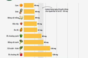 [☕️🇻🇳] Green Coffee Hà Nam 🥤 Top1Coffee ☕️  9 LOẠI THỨC ĂN CHỨA NHIỀU VITAMIN C
Muốn bổ sung Vitamin C thì ăn thật nhiều cam? Hoàn toàn đúng. Song, chúng ta có đến 9 loại , shares-0✔️ , likes-2❤️️ , date-2021-07-27 07:00:02🇻🇳🇻🇳🇻🇳📰🆕