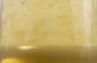 [☕️🇻🇳] La Gare Coffee 🥤 Top1Coffee ☕️ . . . khi khách yêu cầu thì La Gare sẽ phục vụ . . . “Phê Đá La Gare” #lagarecoffee #coldbrew #saigon
, shares-0✔️ , likes-8❤️️ , date-2021-07-12 14:10:16🇻🇳🇻🇳🇻🇳📰🆕