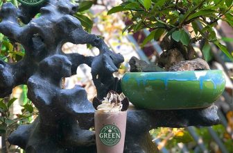 [☕️🇻🇳] Green Coffee Hà Nam 🥤 Top1Coffee ☕️  NGỌT NGÀO VỊ COOKIES & CREAMGiàu dưỡng chất nhưng lại không gây béo, đó chính là ưu điểm tuyệt vời của thức uống Cookies &  , shares-0✔️ , likes-8❤️️ , date-2021-07-26 11:51:23🇻🇳🇻🇳🇻🇳📰🆕