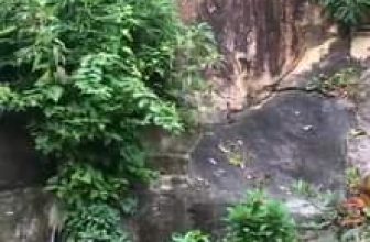 [☕️🇻🇳] LLightroom Coffee 🥤 Top1Coffee ☕️ Xin chào và cảm ơn quý khách đã ủng hộ Lightroom Coffee Studio. Love you all
, shares-0✔️ , likes-28❤️️ , date-2017-10-29 03:44:41🇻🇳🇻🇳🇻🇳📰🆕