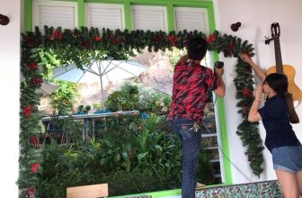 [☕️🇻🇳] LLightroom Coffee 🥤 Top1Coffee ☕️ Ad trang trí  Noel dần để các bạn làm album giáng sinh nhaaaaaaa  love you all
Giáng Sinh đang về trên Lightroom Coffee Studio
, shares-0✔️ , likes-15❤️️ , date-2017-11-14 08:15:04🇻🇳🇻🇳🇻🇳📰🆕