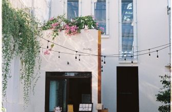 [☕️🇻🇳] măng 🥤 Top1Coffee ☕️ sáng đang quét sân và xếp ghế, sực nhớ ra hôm nay dịch mà có mở cửa đâu vậy bày bàn ghế ra cho ai ngồi? thôi đành ra sau ngó trờ , shares-7✔️ , likes-988❤️️ , date-2021-08-31 05:22:56🇻🇳🇻🇳🇻🇳📰🆕