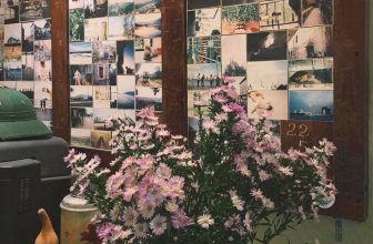 [☕️🇻🇳] 22 phẩy 5 coffee 🥤 Top1Coffee ☕️ Chúc mừng ngày phụ nữ Việt NamXin gửi những lời chúc yêu thương, tốt đẹp nhất đến các mẹ, các cô dì và chị em——————
#22pha , shares-0✔️ , likes-57❤️️ , date-2021-10-20 08:30:30🇻🇳🇻🇳🇻🇳📰🆕