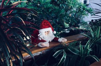 [☕️🇻🇳] LLightroom Coffee 🥤 Top1Coffee ☕️ santa claus is coming to Lightroom Coffee, shares-3✔️ , likes-113❤️️ , date-2017-12-03 09:55:48🇻🇳🇻🇳🇻🇳📰🆕
