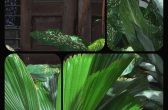 [☕️🇻🇳] 22 phẩy 5 coffee 🥤 Top1Coffee ☕️ Halloo!
Thông cáo mới nhất của Phẩy
Ngày hôm nay (16/10) Phẩy chính thức hoạt động trở lại với các hoạt động bình thường mới.
Kh , shares-1✔️ , likes-79❤️️ , date-2021-10-16 02:56:54🇻🇳🇻🇳🇻🇳📰🆕