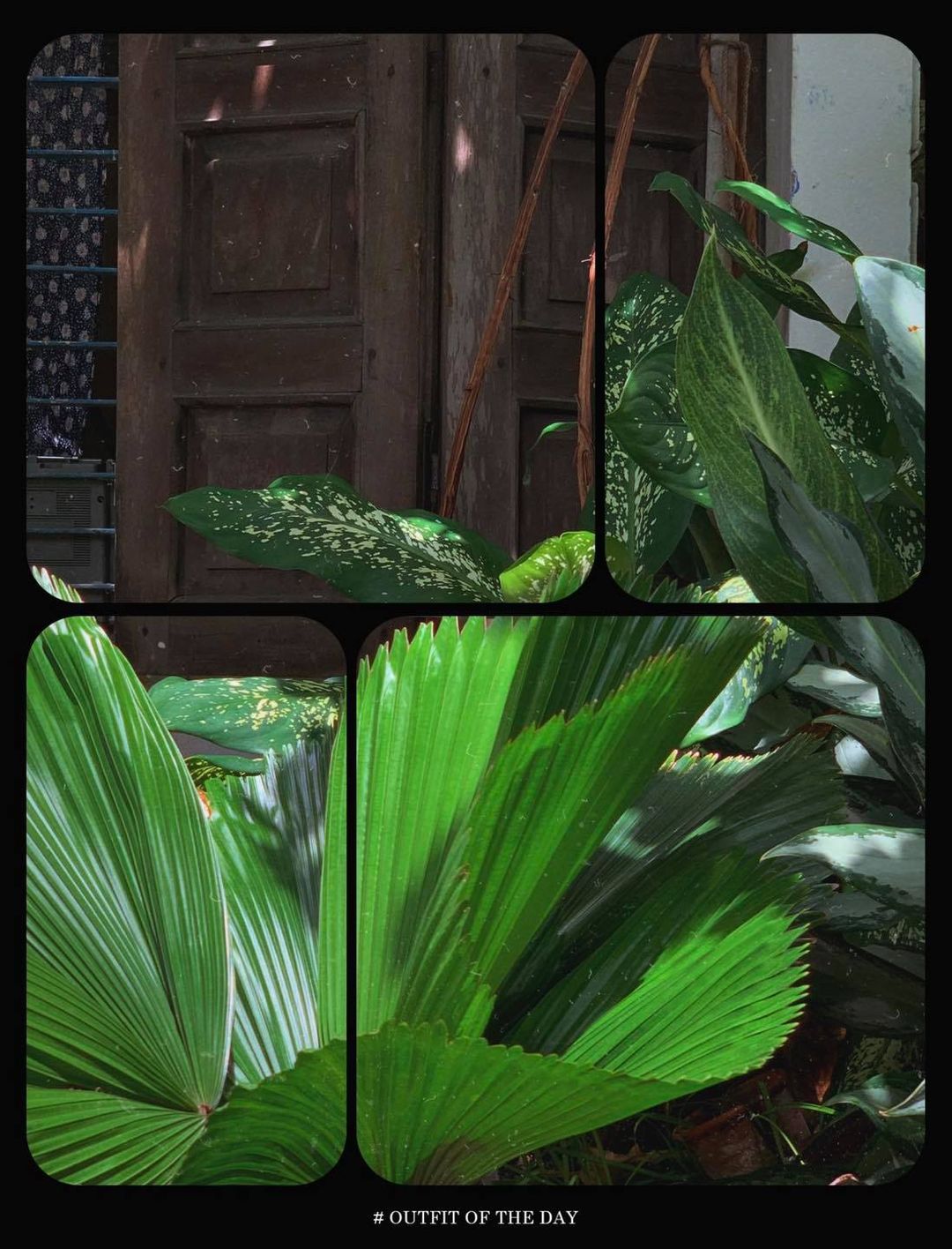 [☕️🇻🇳] Saigon Coffee Roastery 🥤 Top1Coffee ☕️ These are some kind of coffee beans we sell this month ( November ).

|English caption below|
—
 𝐌𝐔𝐒𝐓 𝐓𝐑𝐘 𝐂𝐎𝐅𝐅𝐄𝐄 – 𝐀𝐕𝐀𝐈𝐋𝐀𝐁𝐋𝐄 𝐈𝐍  , shares-2✔️ , likes-21❤️️ , date-2021-10-16 03:37:42🇻🇳🇻🇳🇻🇳📰🆕