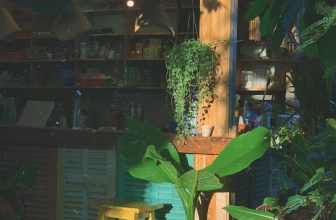 [☕️🇻🇳] 22 phẩy 5 coffee 🥤 Top1Coffee ☕️ Choàng tay ôm lấy nắng#22phay5coffee
, shares-4✔️ , likes-82❤️️ , date-2021-10-21 02:38:15🇻🇳🇻🇳🇻🇳📰🆕