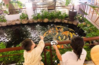 [☕️🇻🇳] Koi Coffee – Koi Cafe – điểm đến của mọi nhà 🥤 Top1Coffee ☕️ – Trời chợt tối, bảng hiệu của tiệm đã bật sáng cả góc đường. Bên trong là những hình ảnh ấm cúng, đáng iu như thế này đây   KOI , shares-0✔️ , likes-17❤️️ , date-2021-11-15 12:43:27🇻🇳🇻🇳🇻🇳📰🆕