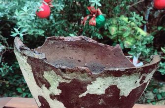 [☕️🇻🇳] LLightroom Coffee 🥤 Top1Coffee ☕️ Nội mới lục kho thấy cái này muh bị mẻ cạnh ròy  . Mấy bạn biết cái này là cái gì hok  (nhất là mấy bạn ở Phú Quốc áh ) kakaka
, shares-0✔️ , likes-11❤️️ , date-2017-12-18 09:08:47🇻🇳🇻🇳🇻🇳📰🆕