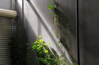 [☕️🇻🇳] D House – Coffee 🥤 Top1Coffee ☕️ Chợt nắng lên nhẹ nhàng
ở D… #Dhouse #Dcoffee #green #naturelight
, shares-0✔️ , likes-8❤️️ , date-2021-11-22 06:21:27🇻🇳🇻🇳🇻🇳📰🆕