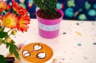 [☕️🇻🇳] Koi Coffee – Koi Cafe – điểm đến của mọi nhà 🥤 Top1Coffee ☕️ Khám phá thêm trong Video
 , shares-0✔️ , likes-12❤️️ , date-2021-11-26 01:24:01🇻🇳🇻🇳🇻🇳📰🆕