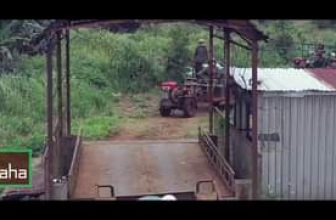 [☕️🇻🇳] AHA Cafe 🥤 Top1Coffee ☕️
#coffee #aha #cafe
, shares-0✔️ , likes-23❤️️ , date-2021-12-27 08:10:34🇻🇳🇻🇳🇻🇳📰🆕