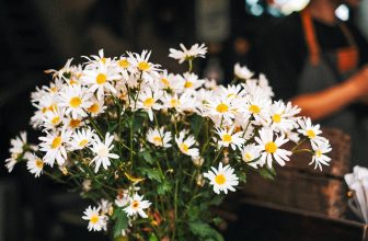 [☕️🇻🇳] Root Coffee Roastery 🥤 Top1Coffee ☕️ Sẽ vui lắm nếu một hôm buồn chán
Có ai kia ngồi thủ thỉ với mình
Kể những chuyện trên trời không biết ngán
Hoặc uống trà, ngồi n , shares-0✔️ , likes-18❤️️ , date-2021-12-28 08:00:04🇻🇳🇻🇳🇻🇳📰🆕