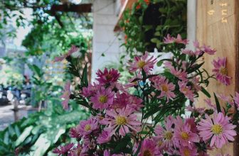 [☕️🇻🇳] 22 phẩy 5 coffee 🥤 Top1Coffee ☕️ Ngày tôi biết mình, đã thương em thật rồi
Ngày sẽ nối lại những giấc mơ trong đời
…
Chúc ngủ ngon
———
#22phay5coffee
#ngoi , shares-3✔️ , likes-26❤️️ , date-2022-01-06 15:27:12🇻🇳🇻🇳🇻🇳📰🆕