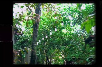 [☕️🇻🇳] 22 phẩy 5 coffee 🥤 Top1Coffee ☕️ Cảm ơn một chiếc video cực xịn đến từ bạn Đức Nguyễn Lê
Thời tiết này ngồi ngắm mưa ở Phẩy thì không gì tuyệt hơnn
2h đi ngủ  , shares-1✔️ , likes-17❤️️ , date-2022-01-09 04:42:43🇻🇳🇻🇳🇻🇳📰🆕